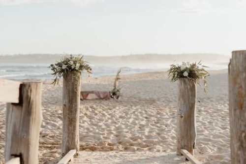 Beach Flowers