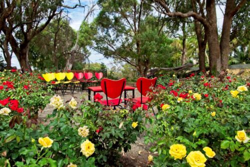 rose love heart labyrinth wedding ceremony area Rose Social Baldivis