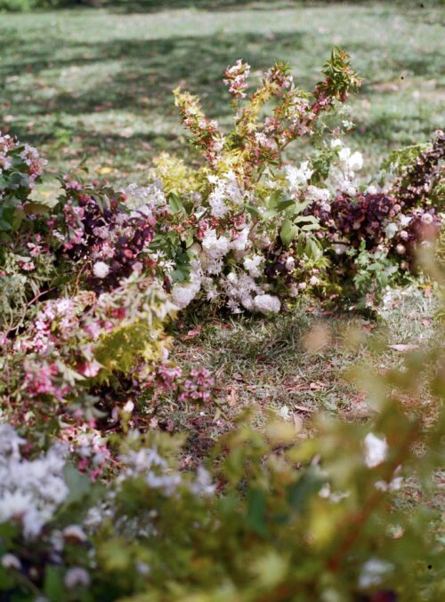 Alice Beasley Flowers